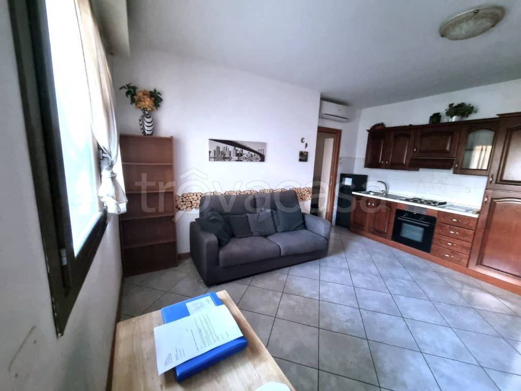 immagine annuncio 3 di 14