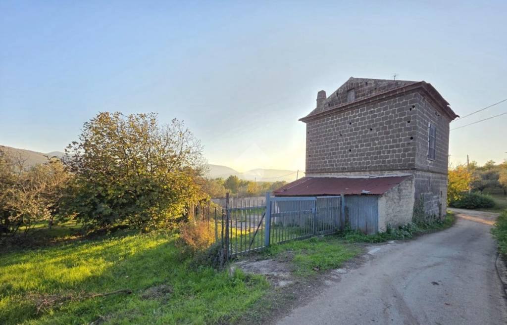 immagine annuncio 6 di 14