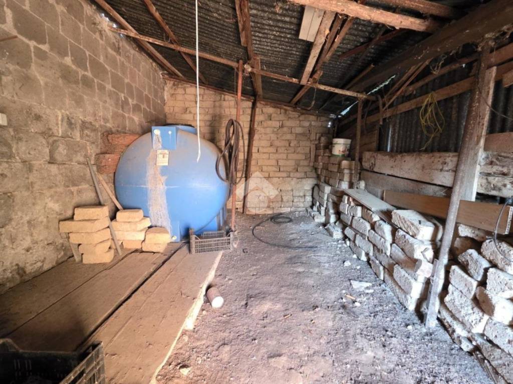 immagine annuncio 9 di 14