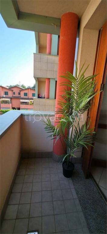 immagine annuncio 7 di 15