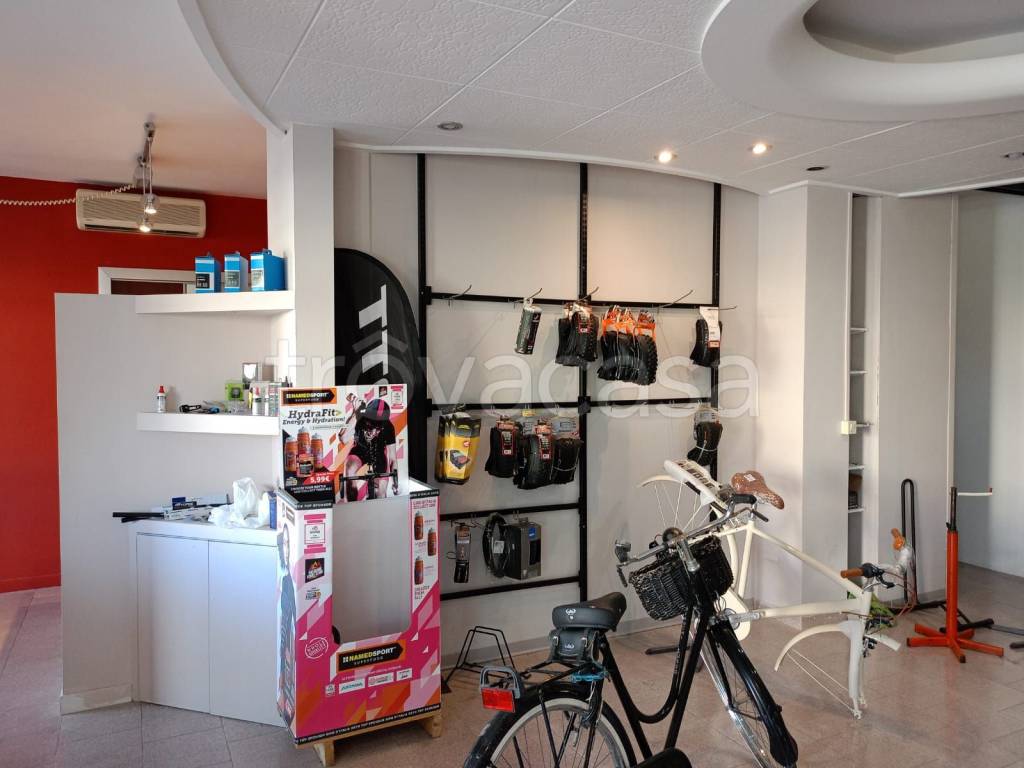 immagine annuncio 2 di 7