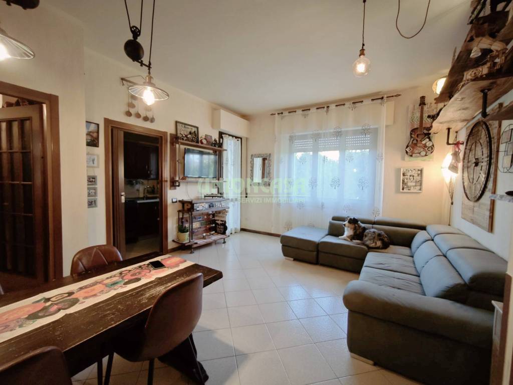 immagine annuncio 14 di 15