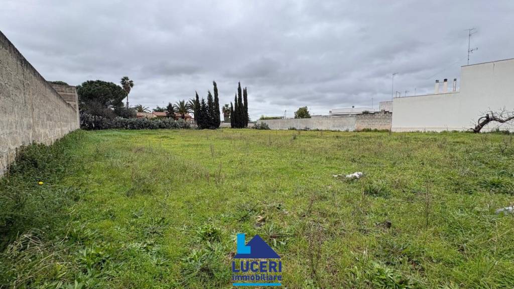 immagine annuncio 5 di 11