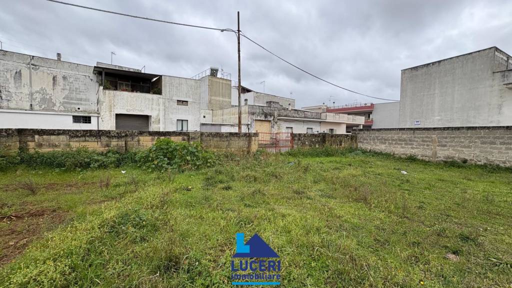 immagine annuncio 7 di 11