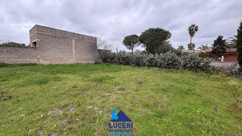 immagine annuncio 8 di 11