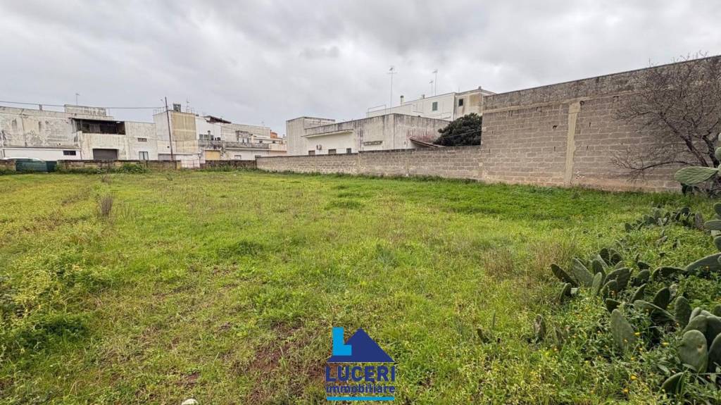 immagine annuncio 9 di 11