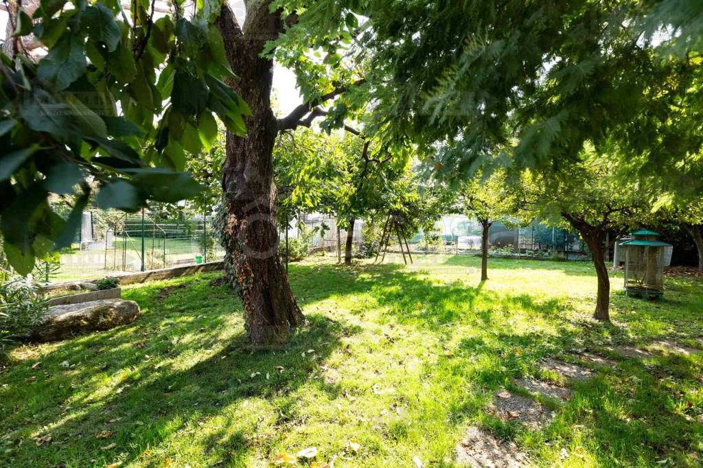 immagine annuncio 8 di 12