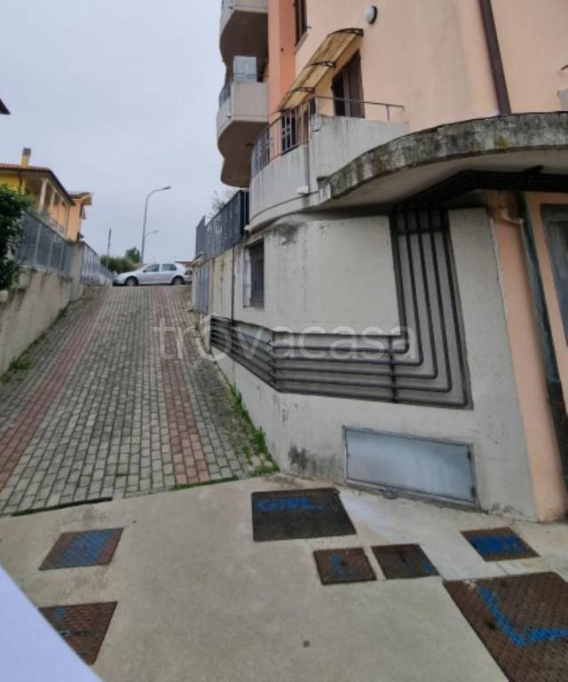 immagine annuncio 2 di 11