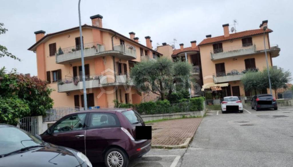 immagine annuncio 5 di 11