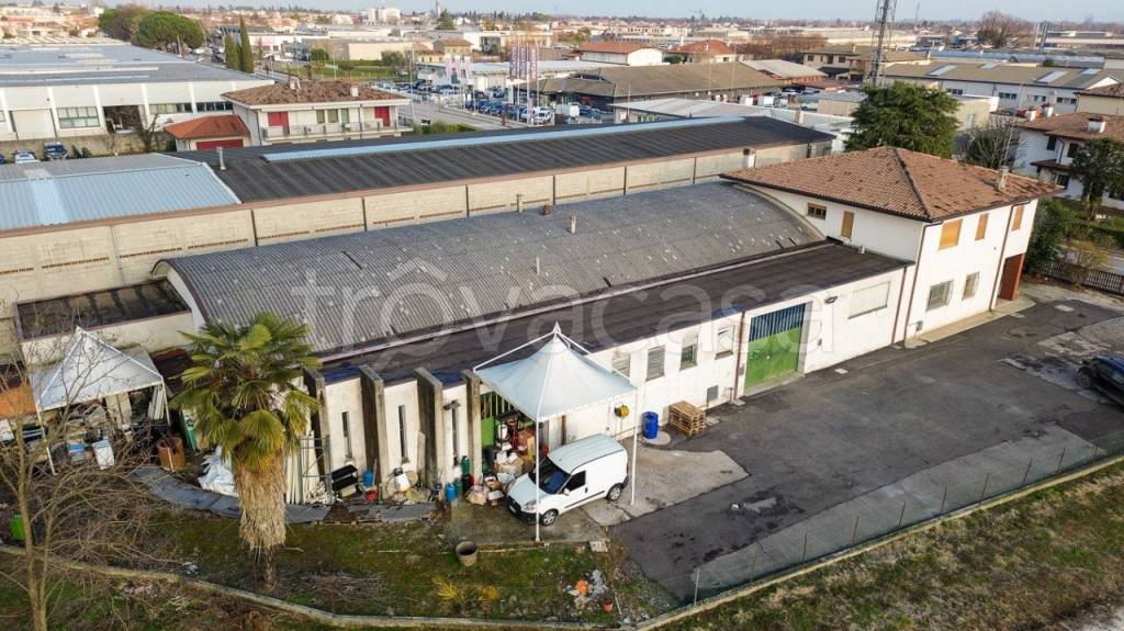 immagine annuncio 1 di 14