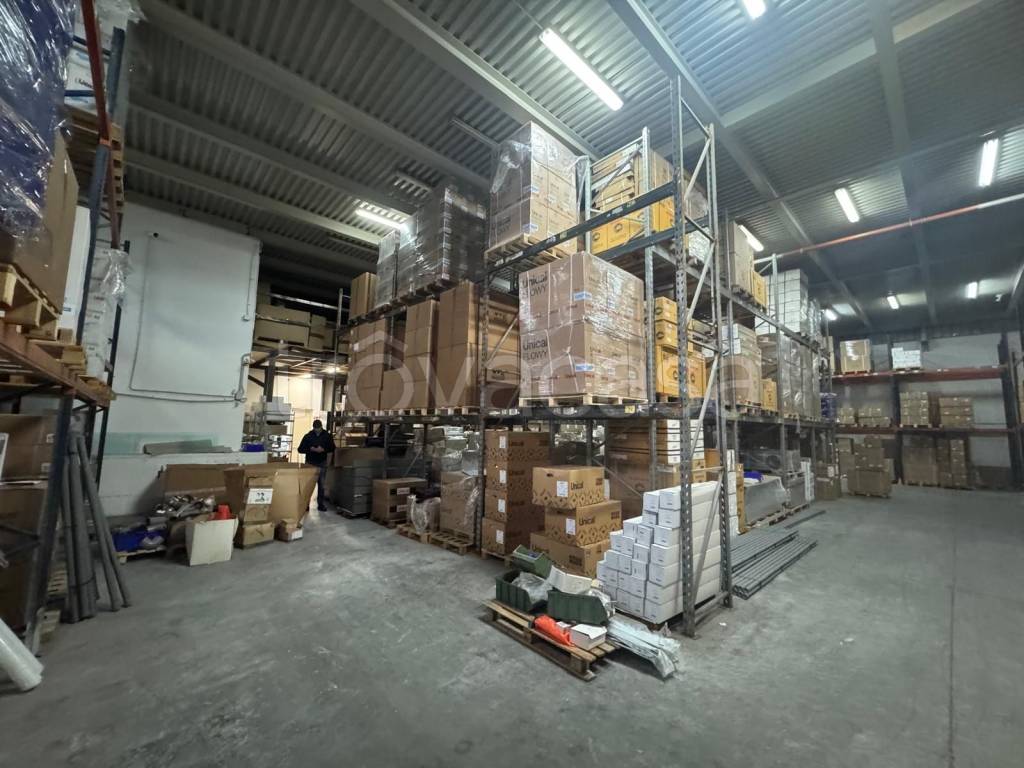 immagine annuncio 12 di 15