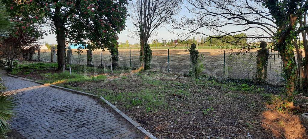 immagine annuncio 2 di 7