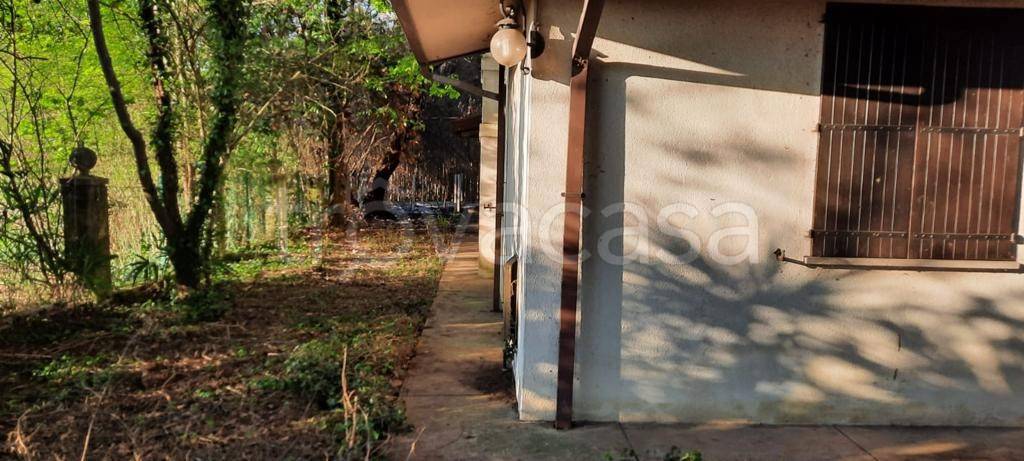 immagine annuncio 4 di 7