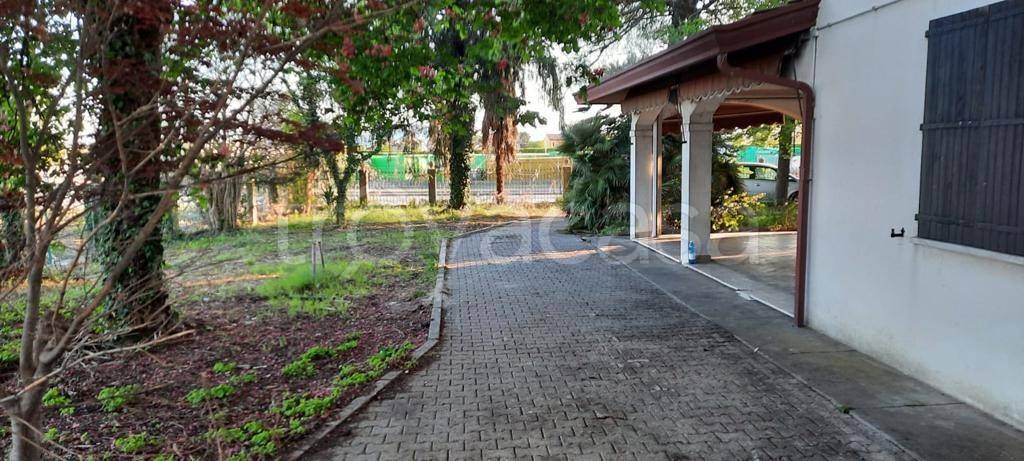 immagine annuncio 6 di 7