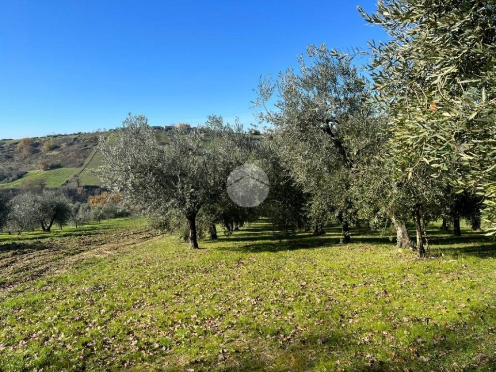 immagine annuncio 8 di 13