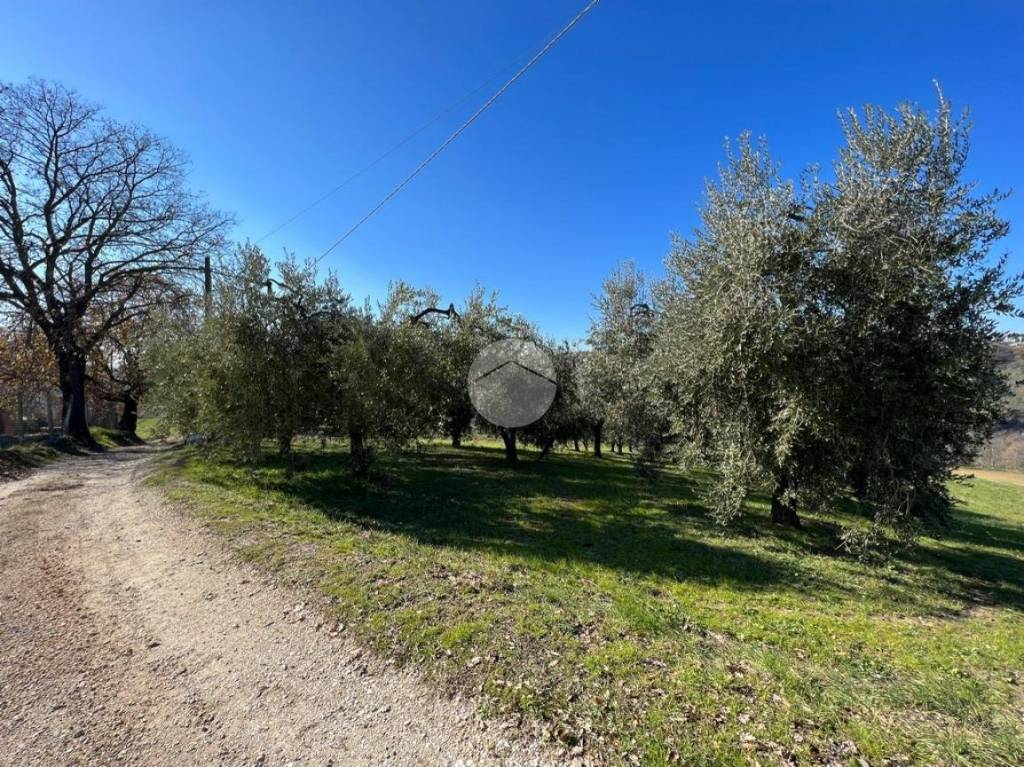 immagine annuncio 11 di 13