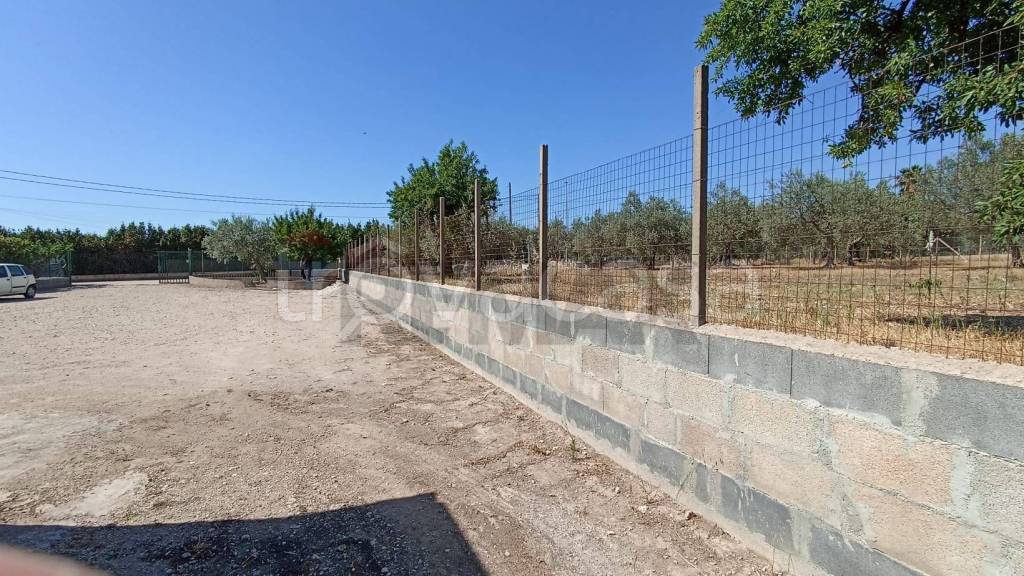 immagine annuncio 7 di 9