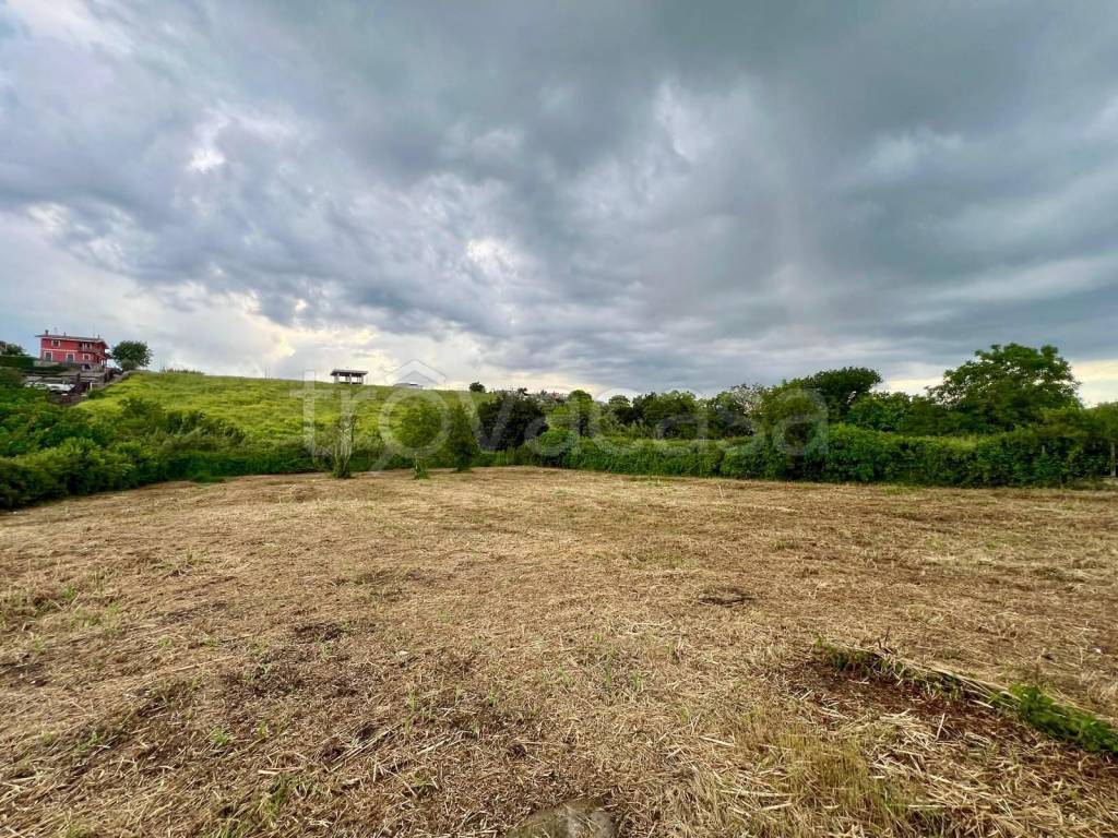 immagine annuncio 5 di 6