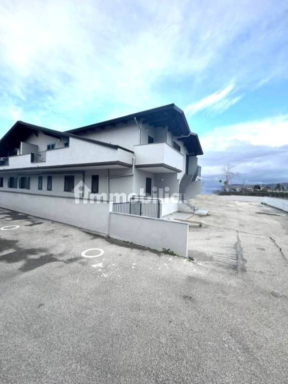 immagine annuncio 2 di 12