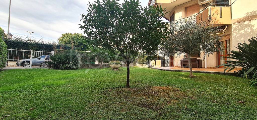 immagine annuncio 1 di 12