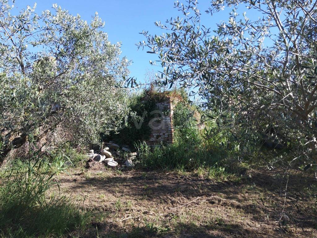 immagine annuncio 4 di 12