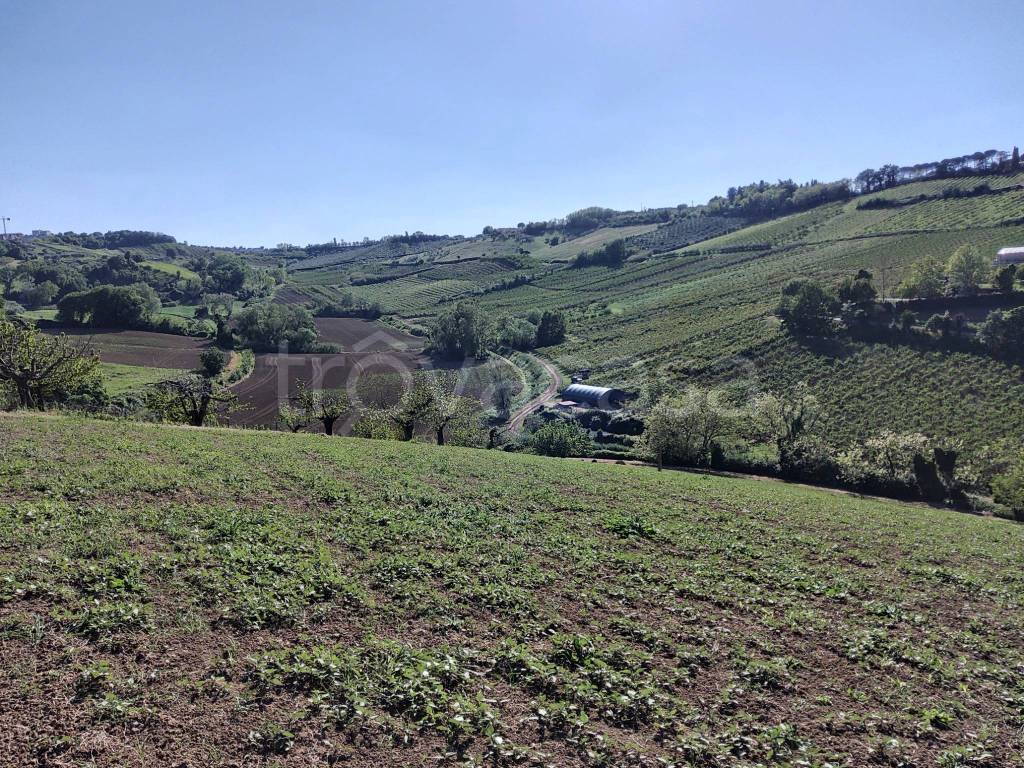 immagine annuncio 9 di 12