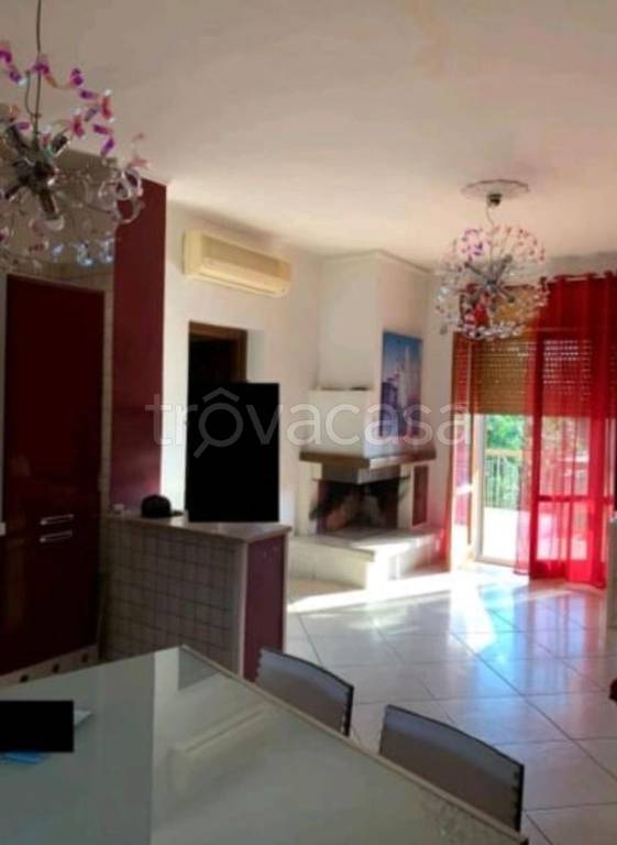 immagine annuncio 4 di 12