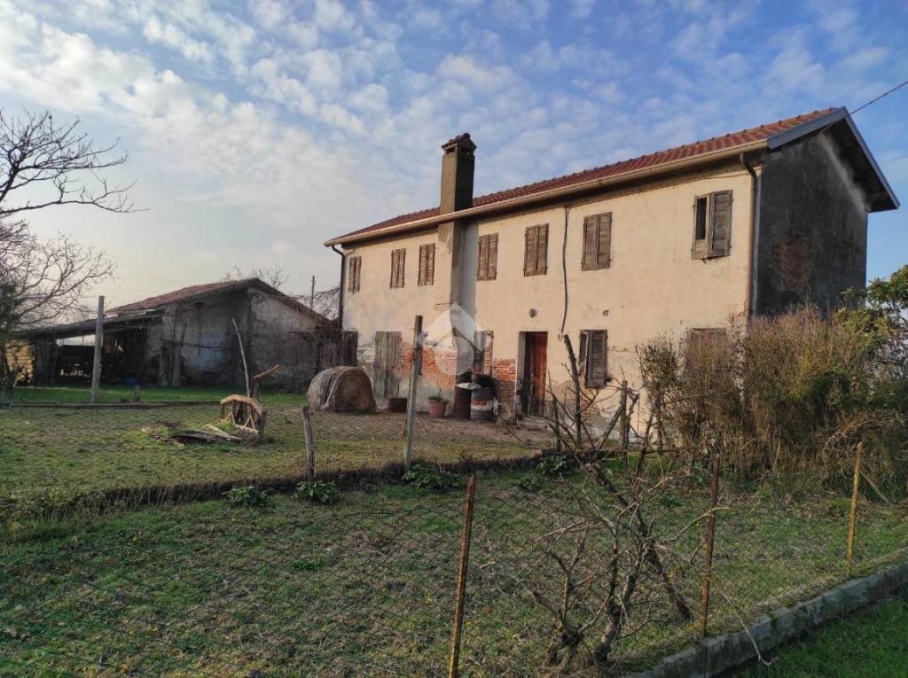 immagine annuncio 3 di 8