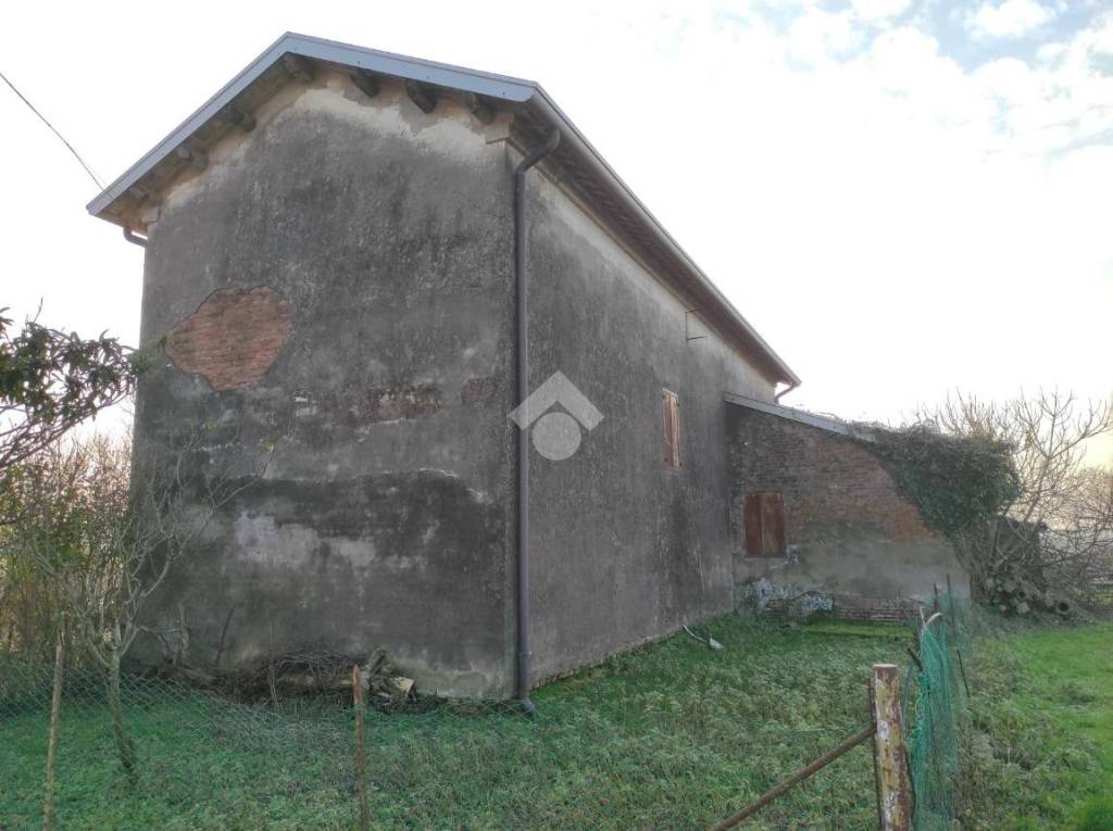 immagine annuncio 5 di 8