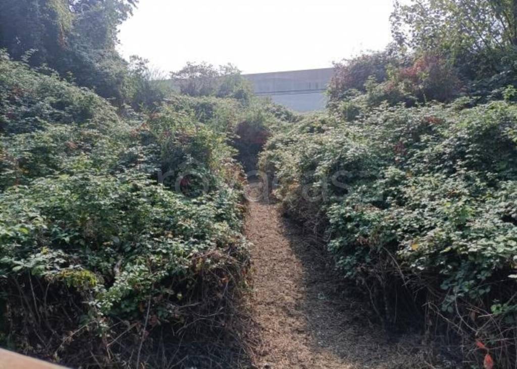 immagine annuncio 8 di 12