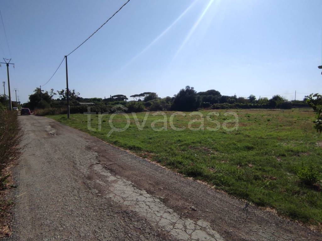 immagine annuncio 4 di 9