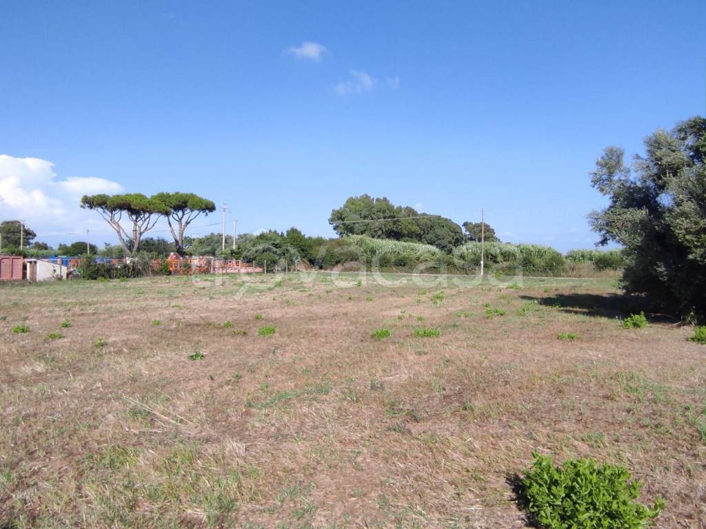 immagine annuncio 8 di 9