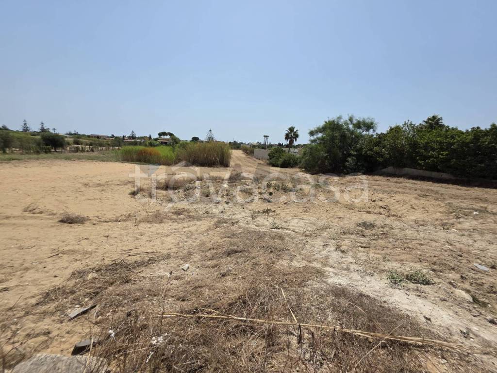 immagine annuncio 6 di 9