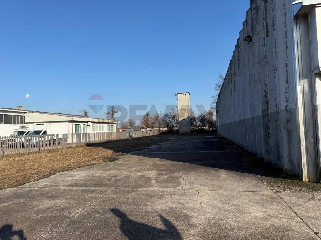 immagine annuncio 1 di 13