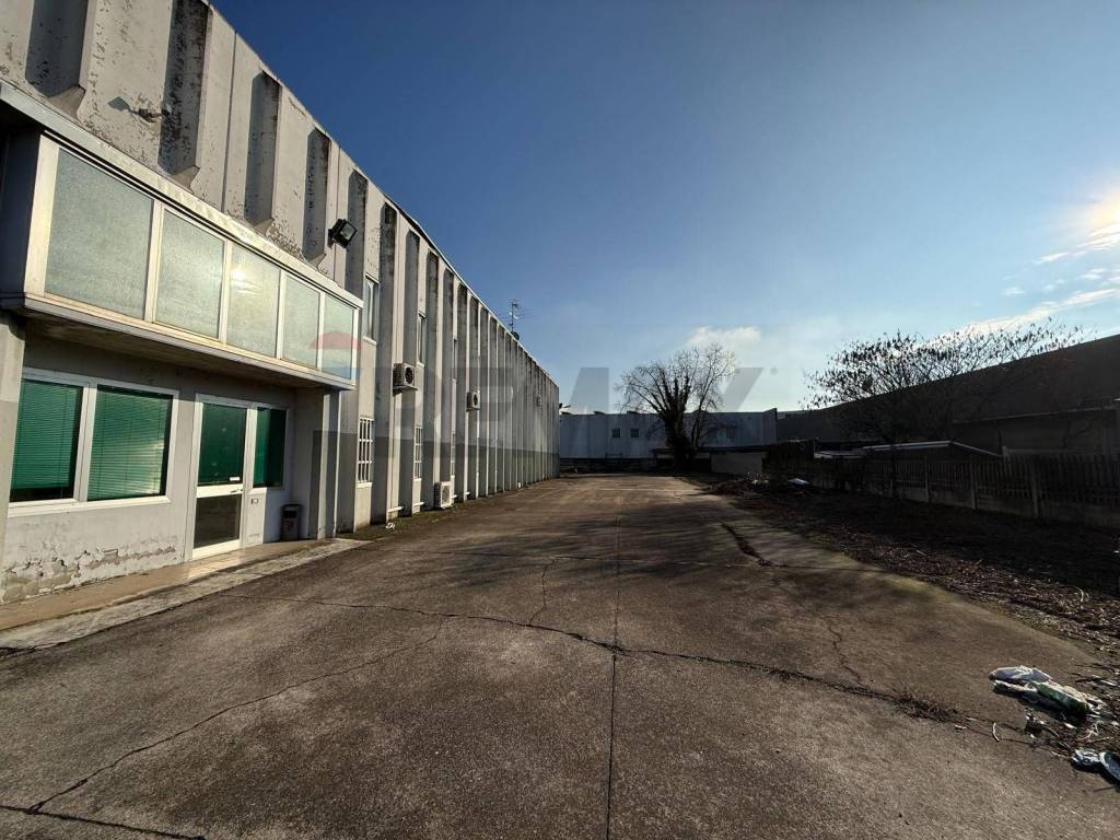 immagine annuncio 2 di 13