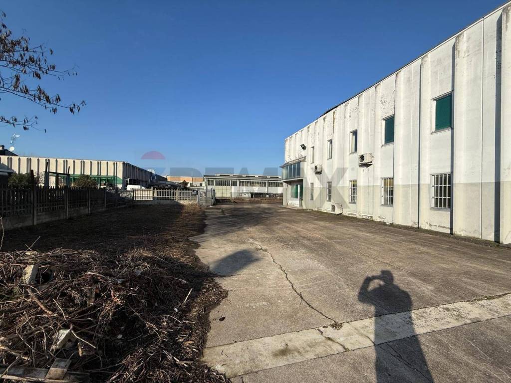 immagine annuncio 3 di 13