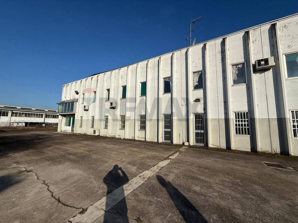 immagine annuncio 4 di 13