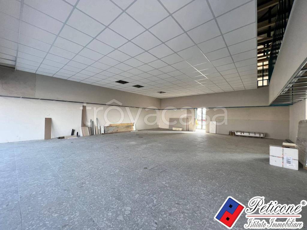 immagine annuncio 2 di 7