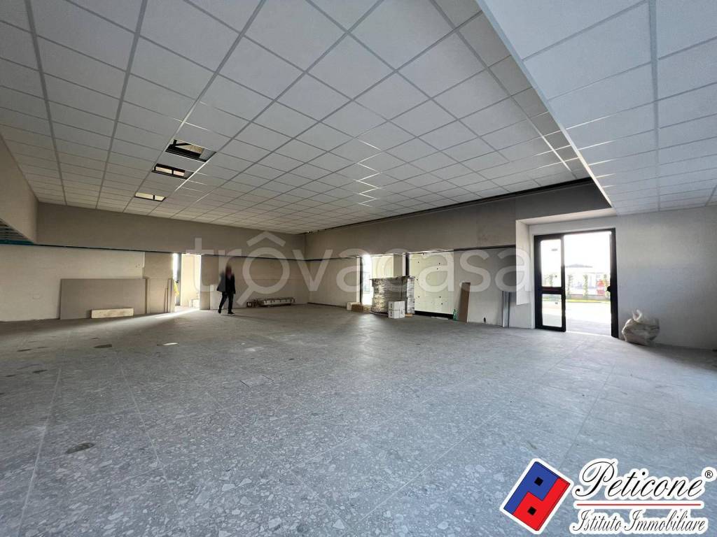 immagine annuncio 4 di 7