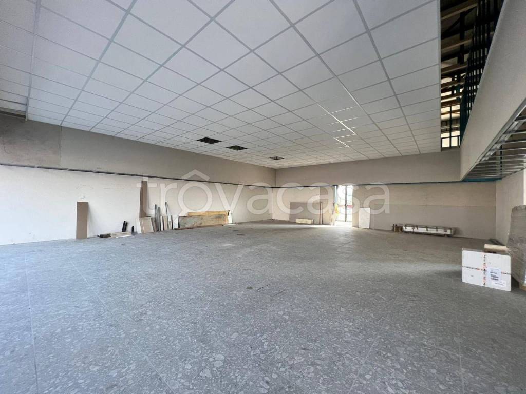 immagine annuncio 5 di 7