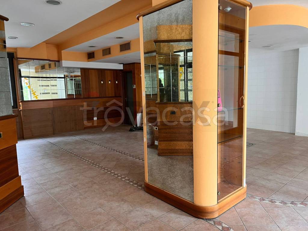 immagine annuncio 4 di 12