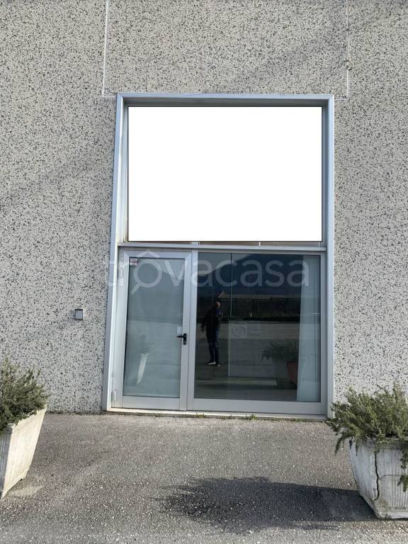 immagine annuncio 5 di 9