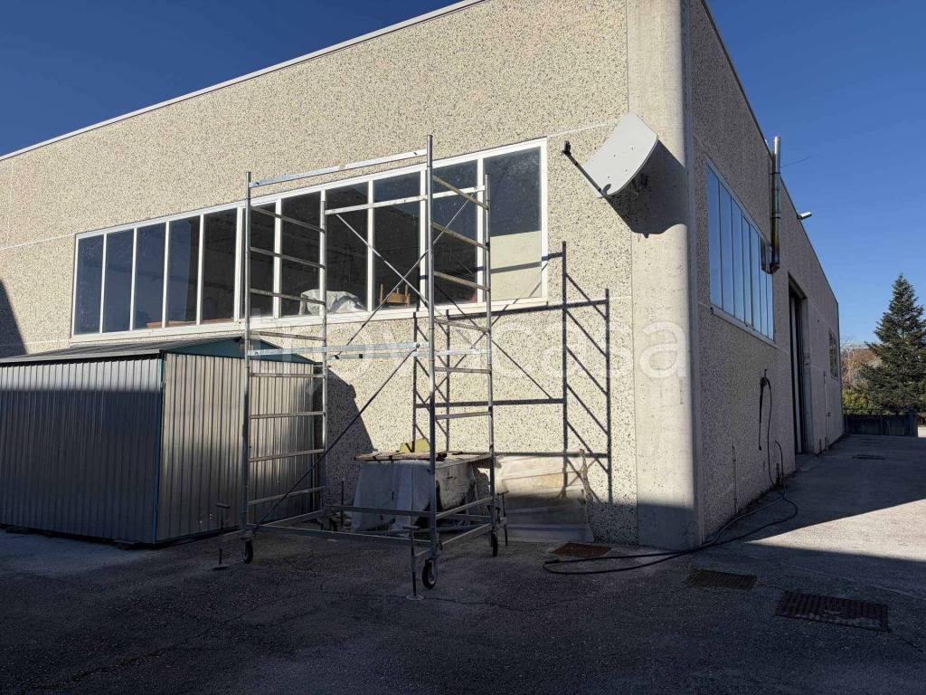 immagine annuncio 3 di 12