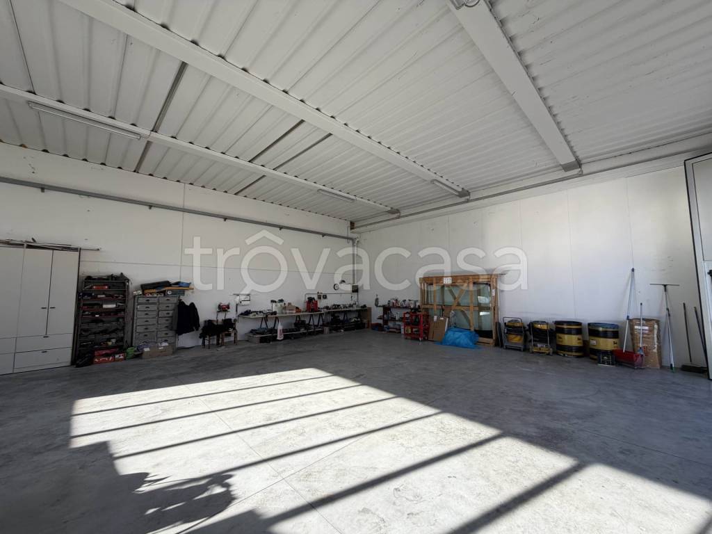 immagine annuncio 7 di 12