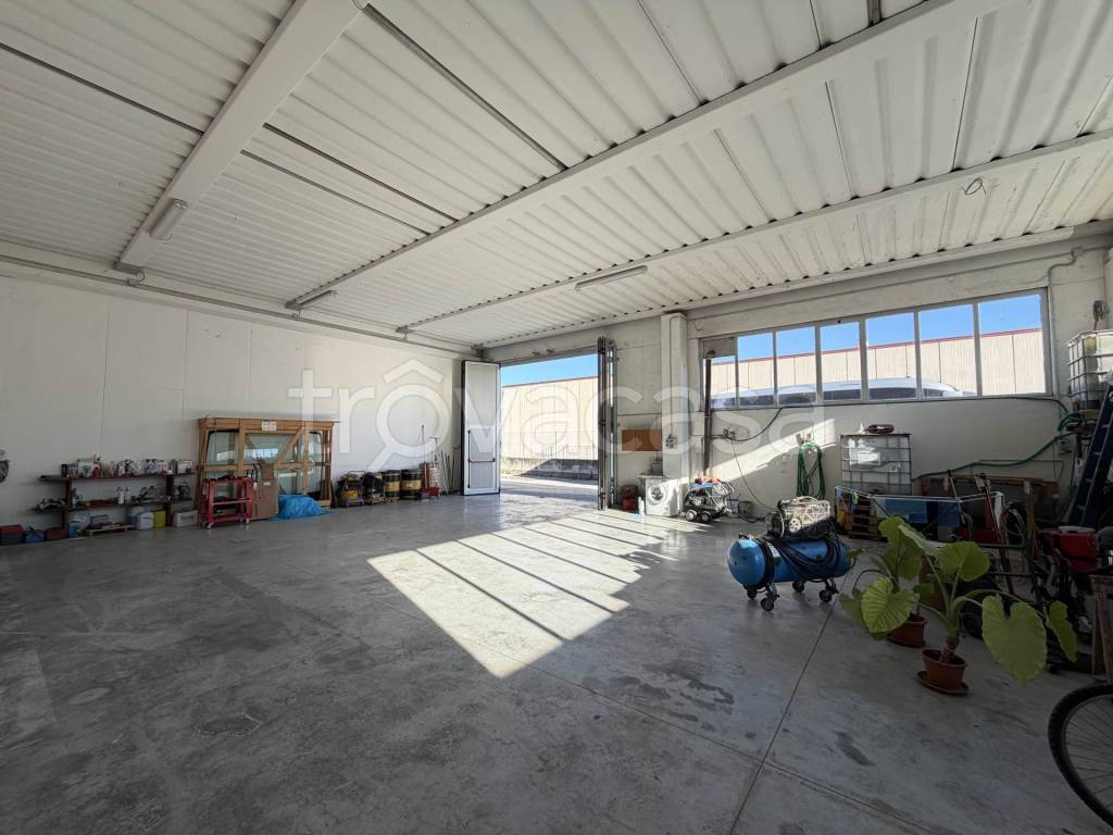 immagine annuncio 8 di 12