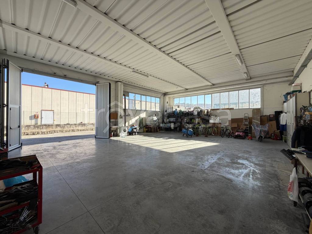 immagine annuncio 9 di 12