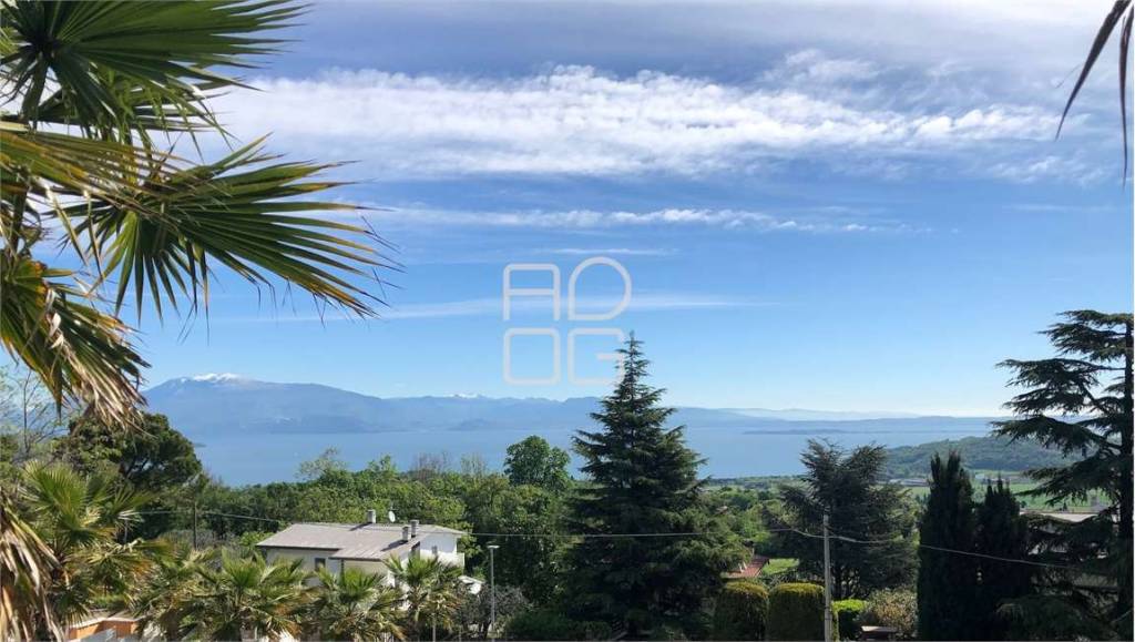 immagine annuncio 8 di 12