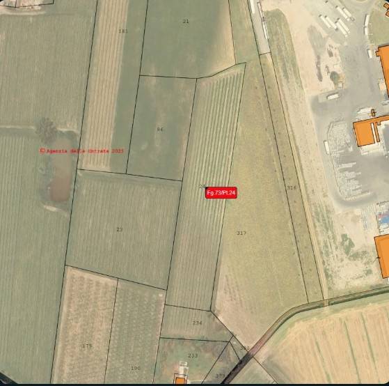 immagine annuncio 9 di 10