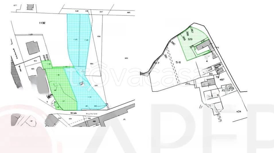 immagine annuncio 10 di 12