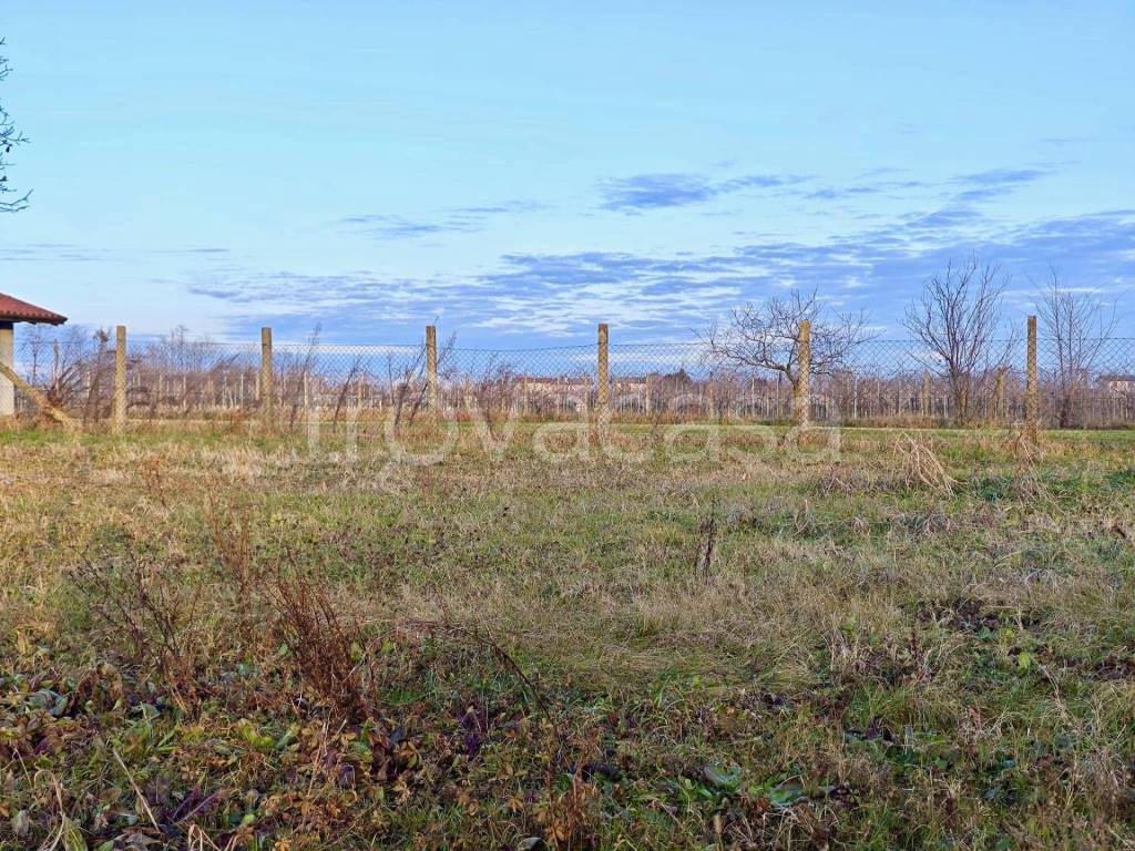 immagine annuncio 11 di 13